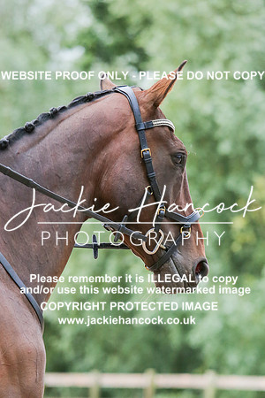 JHP_0060-2