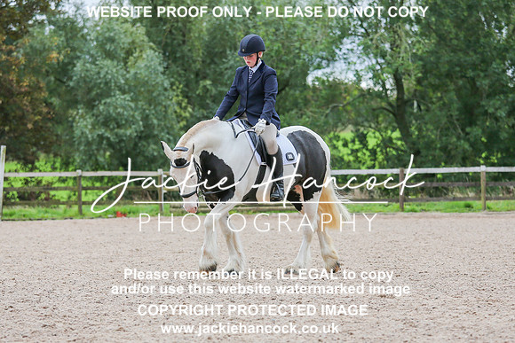 JHP_0082-2