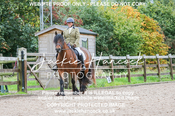 JHP_0083-2