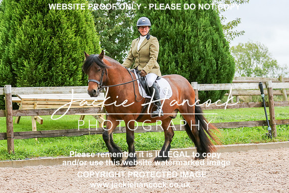 JHP_0085-2