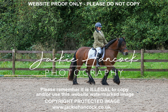 JHP_0169-2