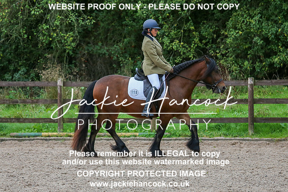 JHP_0175-2