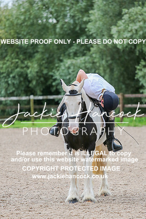 JHP_0178-2