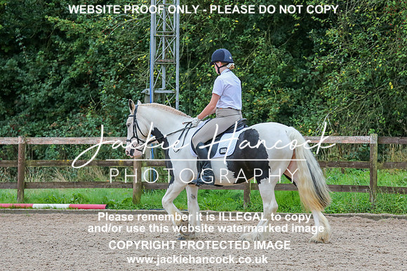 JHP_0186-2