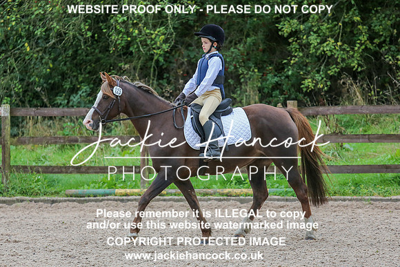 JHP_0195-2