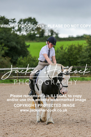 JHP_0205-2