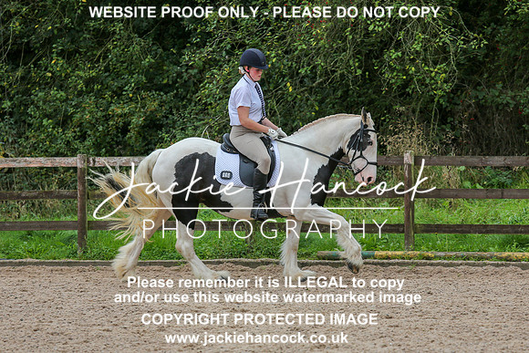 JHP_0213-2