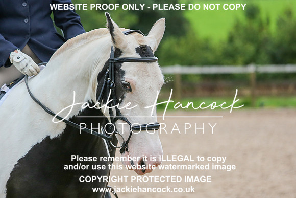 JHP_0229-2