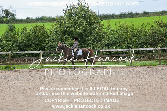 JHP_0271-2