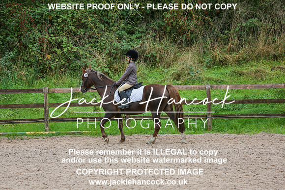 JHP_0269-2