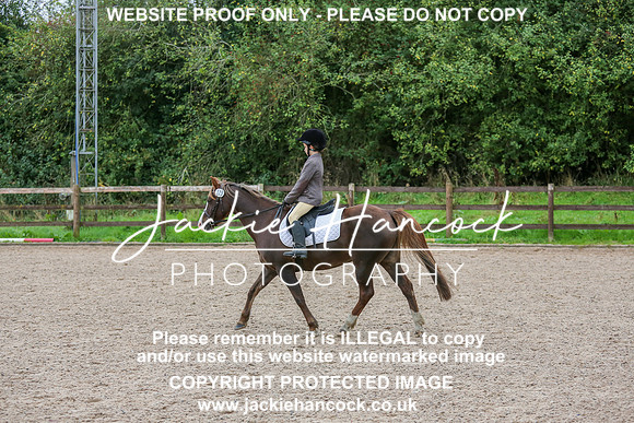 JHP_0281-2