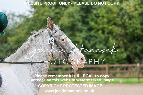 JHP_0296-2