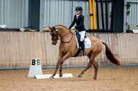 Class 2 - Open 13 Section B
