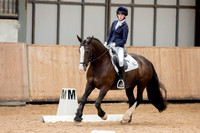 NSEA DRESSAGE