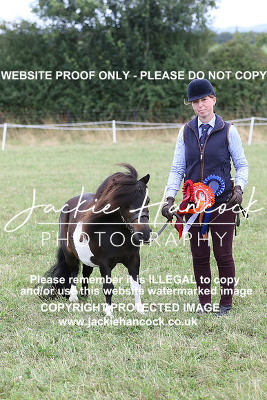 6V7A6178