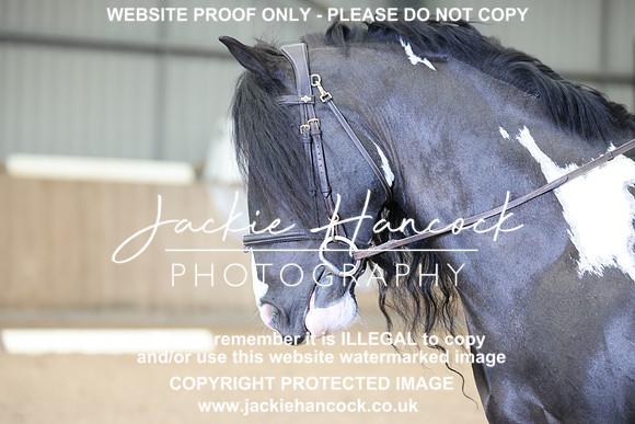 R5JH3403