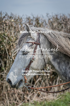114651-UCP-PFR