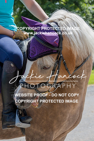 115554-170721-JHP