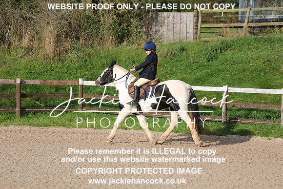 JHP_2334