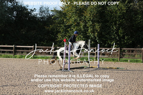 JHP_2339