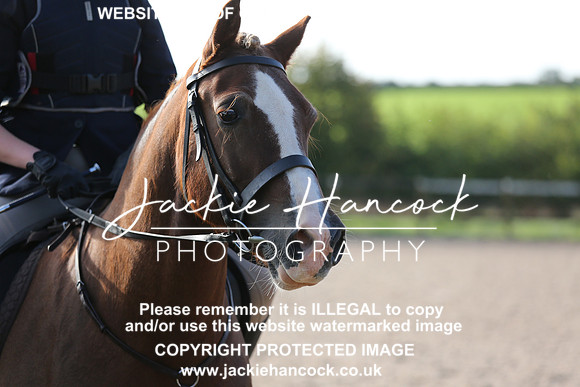 JHP_2409