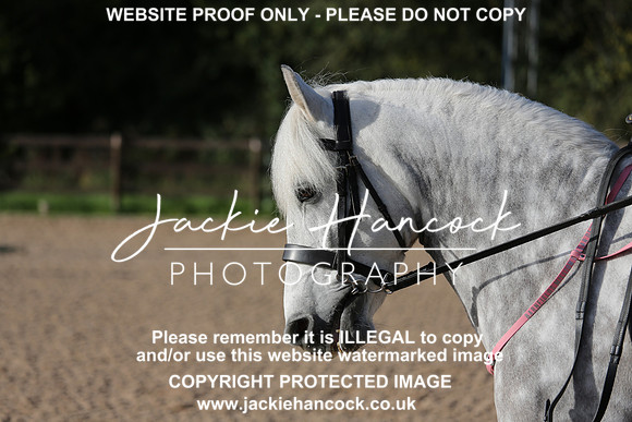 JHP_2450