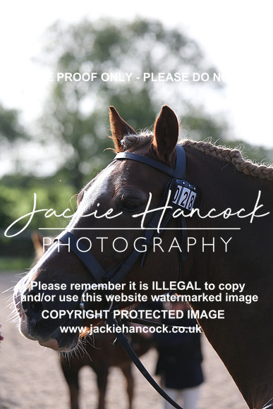 JHP_2456