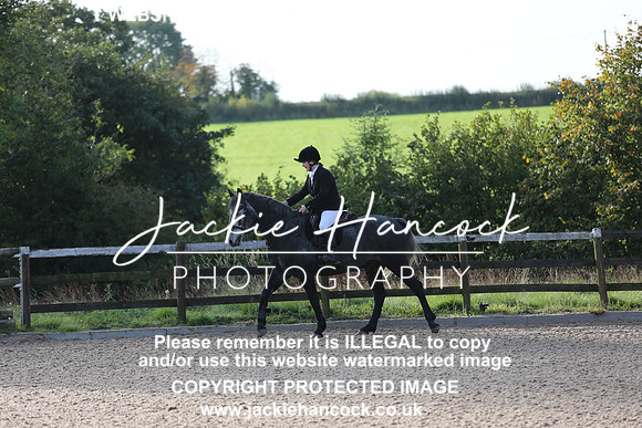 JHP_2313