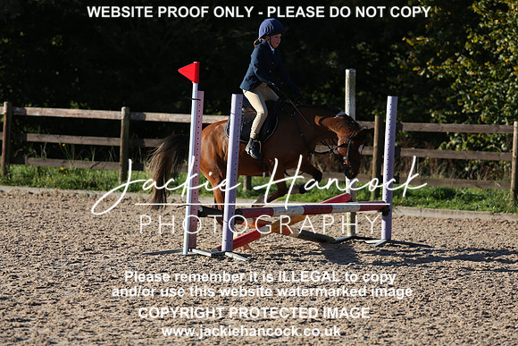 JHP_4033