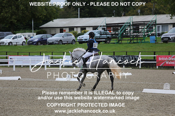 JHP_0339