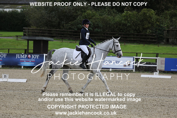 JHP_0389