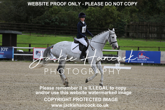 JHP_0391