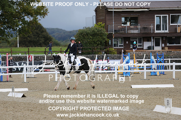 JHP_0437