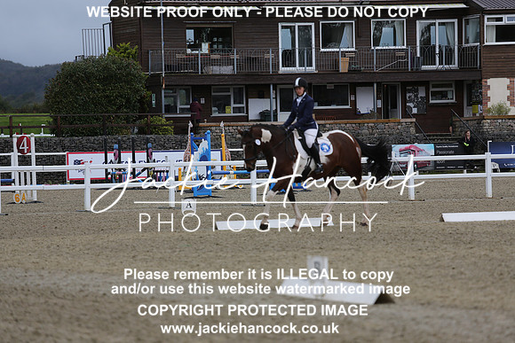 JHP_0508