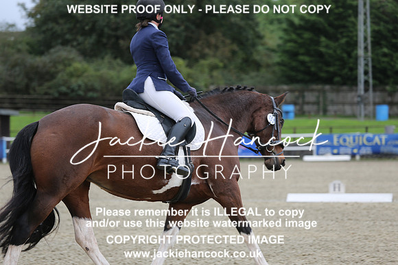 JHP_0528