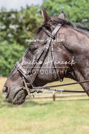 112633-ucpg
