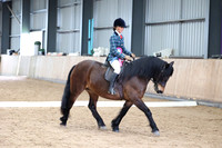 Class 11 - Ridden M&M Large & Small breeds