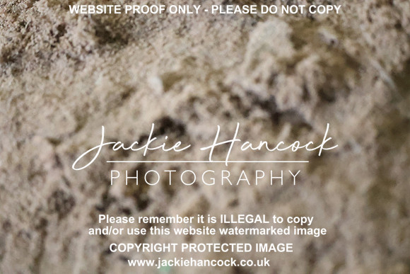 R6JH1567