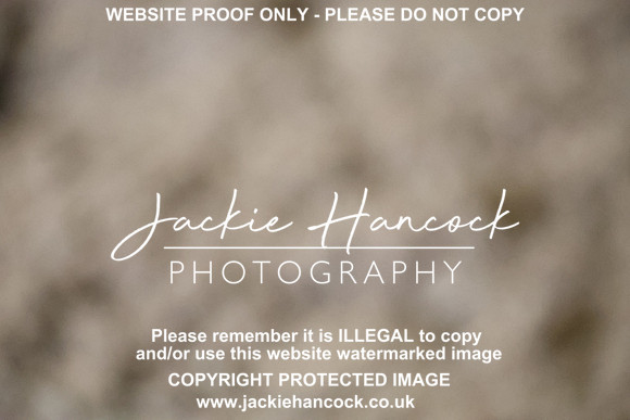 R6JH1586