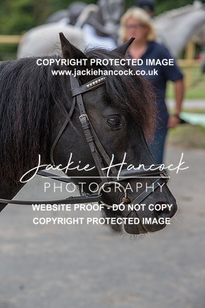 164632-250821-JHP