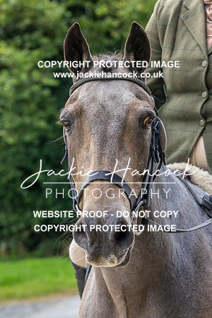 112611-280821-JHP