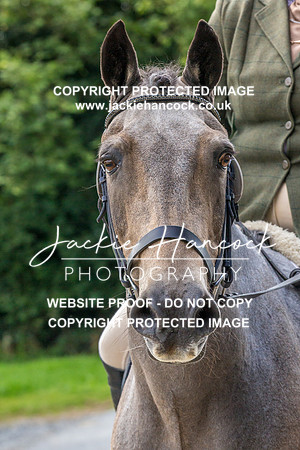 112612-280821-JHP