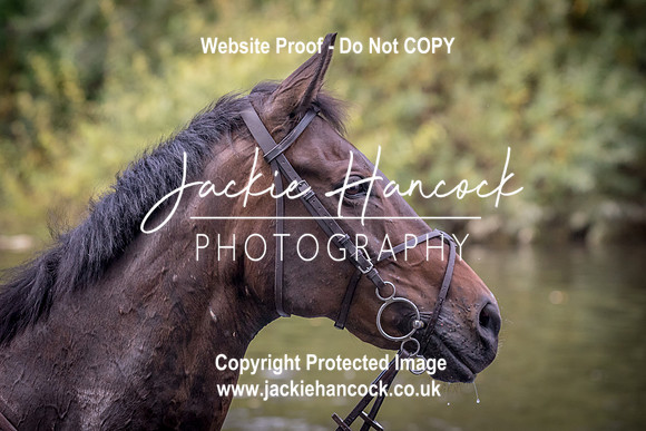 095143-UCP-JH-2