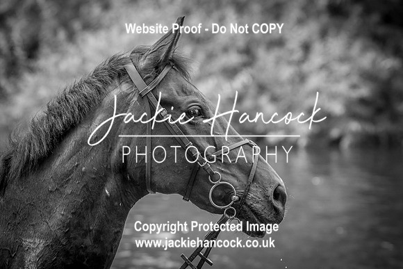 095143-UCP-JH-3