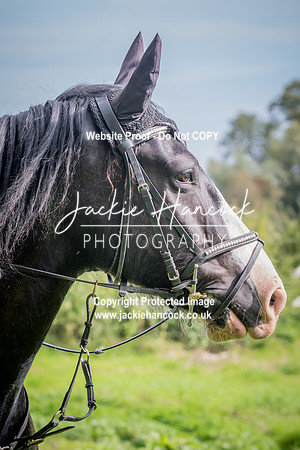 102020-UCP-JH
