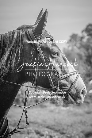 102020-UCP-JH-2
