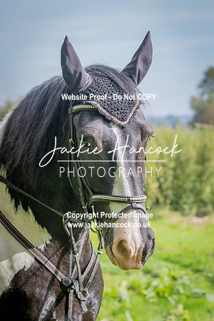 102024-UCP-JH