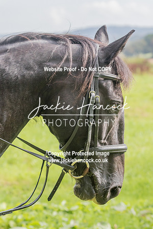 102047-UCP-JH