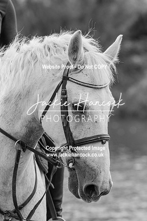 102731-UCP-JH-2