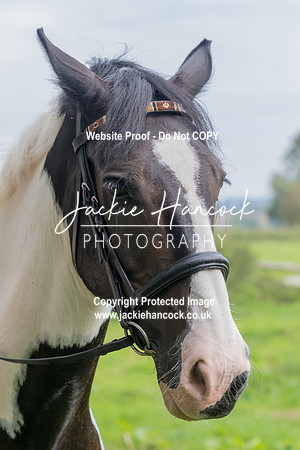 103625-UCP-JH